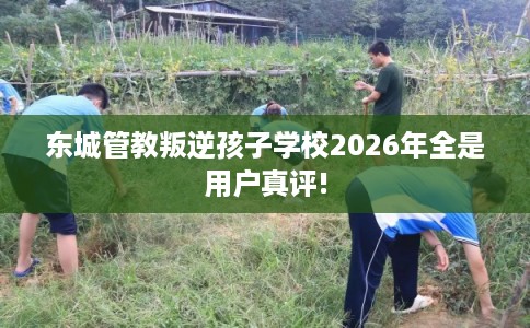 东城管教叛逆孩子学校2026年全是用户真评!