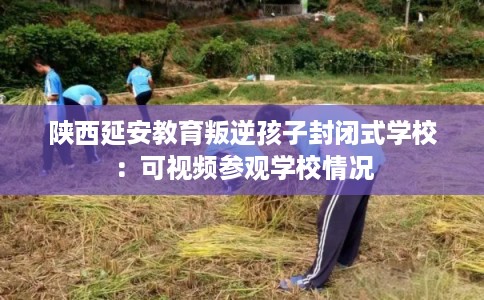 陕西延安教育叛逆孩子封闭式学校：可视频参观学校情况