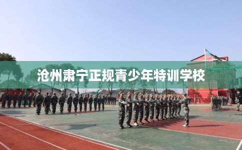 沧州肃宁正规青少年特训学校