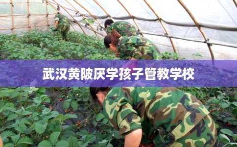 武汉黄陂厌学孩子管教学校