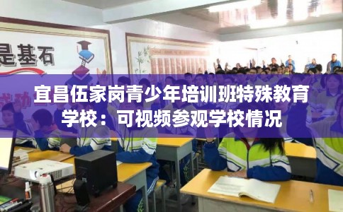 宜昌伍家岗青少年培训班特殊教育学校：可视频参观学校情况