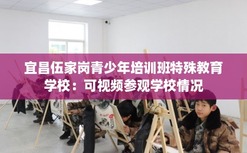 宜昌伍家岗青少年培训班特殊教育学校：可视频参观学校情况