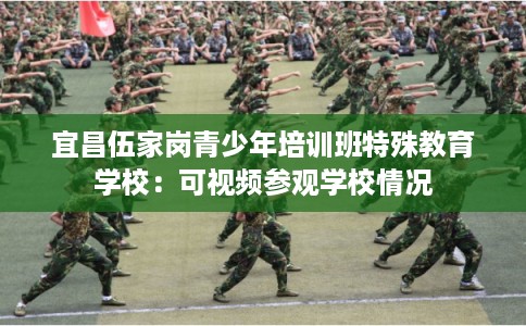 宜昌伍家岗青少年培训班特殊教育学校：可视频参观学校情况