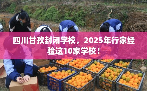 四川甘孜封闭学校，2025年行家经验这10家学校！