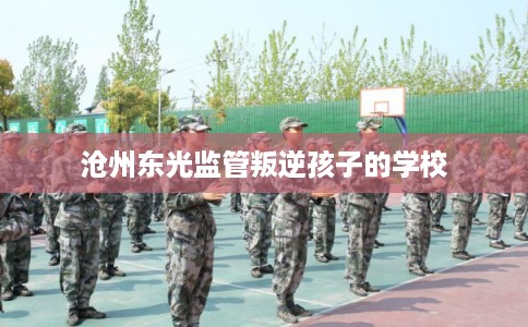 沧州东光监管叛逆孩子的学校 沧州东光监管叛逆孩子的学校