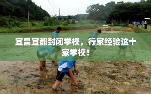 宜昌宜都封闭学校，行家经验这十家学校！