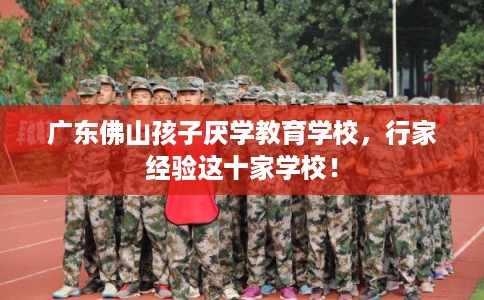广东佛山孩子厌学教育学校，行家经验这十家学校！