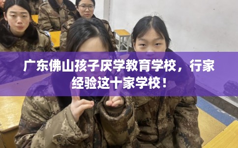 广东佛山孩子厌学教育学校，行家经验这十家学校！