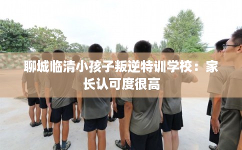 聊城临清小孩子叛逆特训学校：家长认可度很高