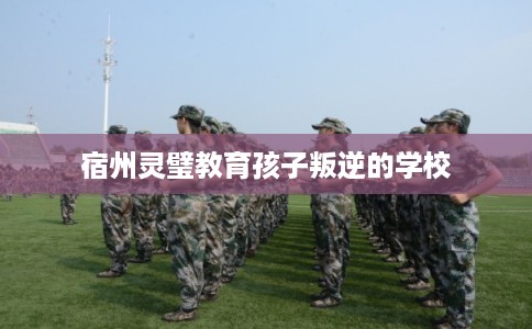 宿州灵璧教育孩子叛逆的学校