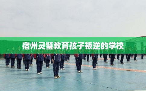 宿州灵璧教育孩子叛逆的学校