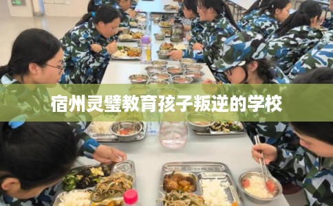 宿州灵璧教育孩子叛逆的学校
