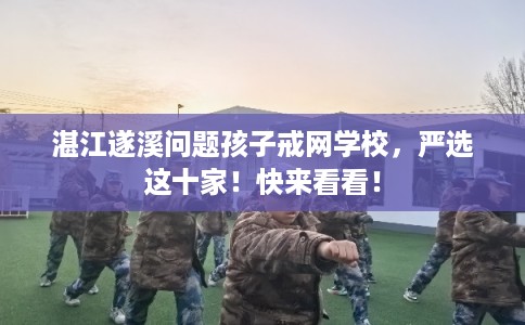 湛江遂溪问题孩子戒网学校，严选这十家！快来看看！