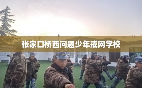 张家口桥西问题少年戒网学校
