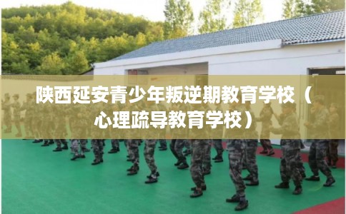 陕西延安青少年叛逆期教育学校（心理疏导教育学校）