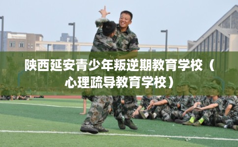 陕西延安青少年叛逆期教育学校（心理疏导教育学校）