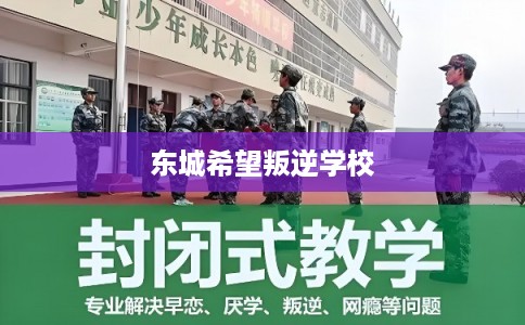 东城希望叛逆学校