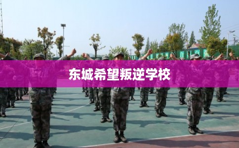 东城希望叛逆学校