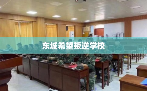 东城希望叛逆学校