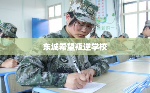 东城希望叛逆学校