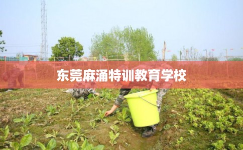 东莞麻涌特训教育学校