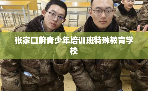张家口蔚青少年培训班特殊教育学校
