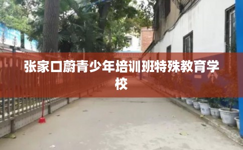 张家口蔚青少年培训班特殊教育学校