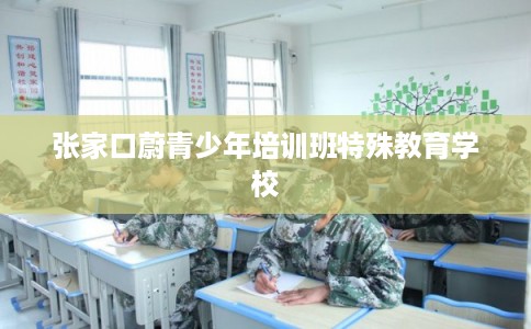 张家口蔚青少年培训班特殊教育学校