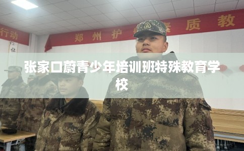 张家口蔚青少年培训班特殊教育学校