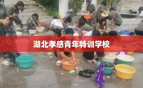 湖北孝感青年特训学校