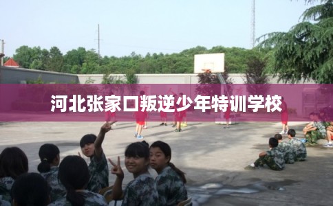 河北张家口叛逆少年特训学校 河北张家口叛逆少年特训学校