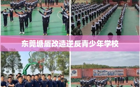 东莞塘厦改造逆反青少年学校
