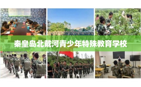 秦皇岛北戴河青少年特殊教育学校