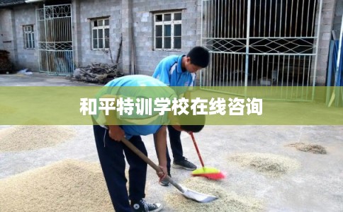 和平特训学校在线咨询