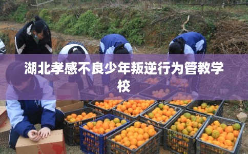 湖北孝感不良少年叛逆行为管教学校