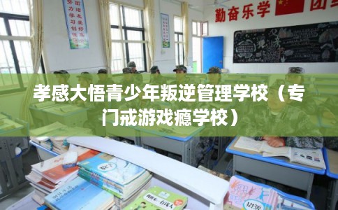 孝感大悟青少年叛逆管理学校（专门戒游戏瘾学校）