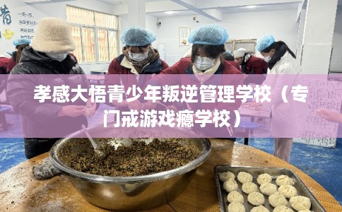 孝感大悟青少年叛逆管理学校（专门戒游戏瘾学校）