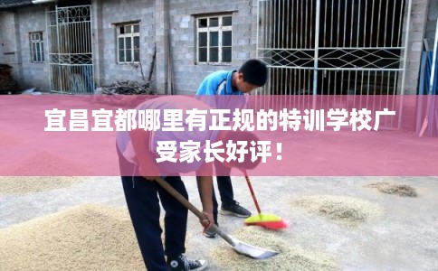 宜昌宜都哪里有正规的特训学校广受家长好评！
