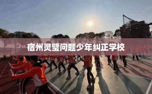宿州灵璧问题少年纠正学校