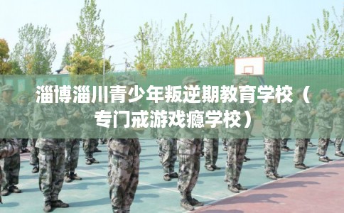淄博淄川青少年叛逆期教育学校(专门戒游戏瘾学校) 淄博淄川青少年叛逆期教育学校(专门戒游戏瘾学校)