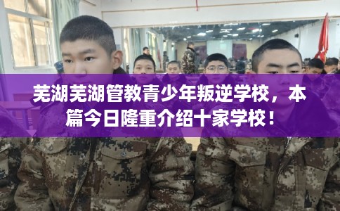 芜湖芜湖管教青少年叛逆学校，本篇今日隆重介绍十家学校！