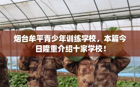 烟台牟平青少年训练学校，本篇今日隆重介绍十家学校！