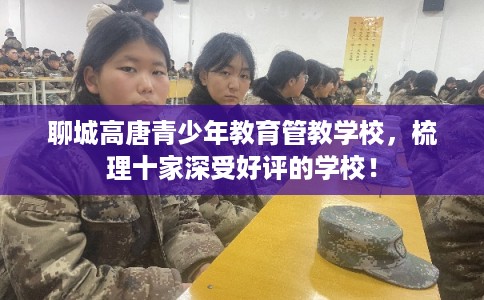 聊城高唐青少年教育管教学校，梳理十家深受好评的学校！