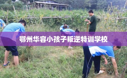 鄂州华容小孩子叛逆特训学校