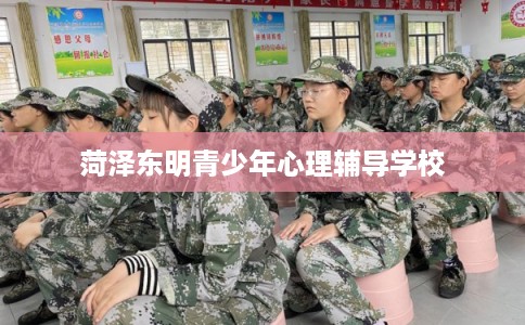 菏泽东明青少年心理辅导学校