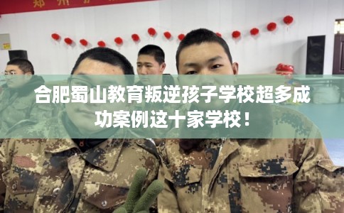 合肥蜀山教育叛逆孩子学校超多成功案例这十家学校！