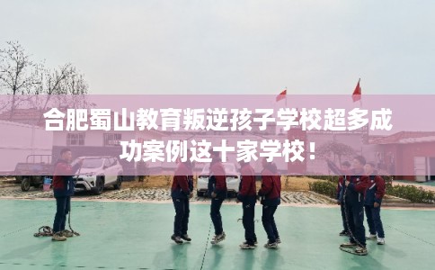合肥蜀山教育叛逆孩子学校超多成功案例这十家学校！