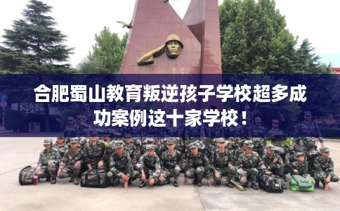 合肥蜀山教育叛逆孩子学校超多成功案例这十家学校！