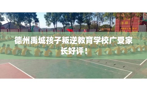 德州禹城孩子叛逆教育学校广受家长好评! 德州禹城孩子叛逆教育学校广受家长好评!