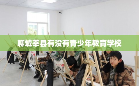 聊城莘县有没有青少年教育学校